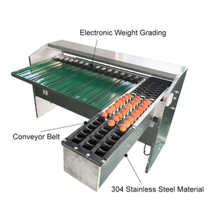 Máy phân loại trứng thương mại máy phân loại trứng tự động và hệ thống đóng gói - Product Image 4