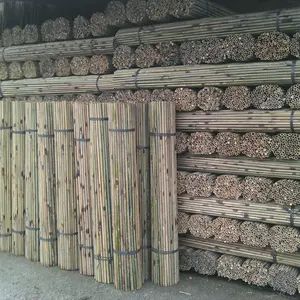 Tongkat Bambu Warna Dilapisi PVC untuk Dekorasi