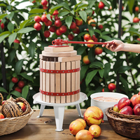 Hoge Efficiëntie Gezonde XH Spirale Persmachine Model 001 Houten Kern Motor Eenvoudig te Gebruiken 10KG Fruit Sap Wijn Commercieel