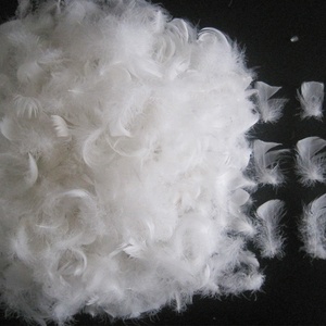 <span class=keywords><strong>Plumes</strong></span> de canard <span class=keywords><strong>blanches</strong></span> lavées naturelles de Chine, 2,4 cm – Matière première pour rembourrage en gros - Product Image 5
