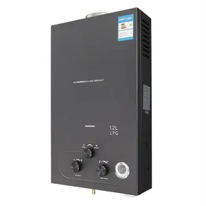 חדש הגעה סיטונאי מחיר ביתי 12L tankless מיידי גפ"מ גז דוד גייזר