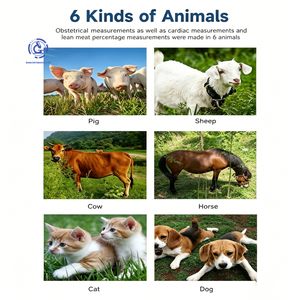 <span class=keywords><strong>Ecógrafo</strong></span> Veterinario Portátil Mini, Sonda Lineal Rectal para Uso en Ganado - Product Image 2