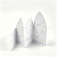 Impression de brochures découpées sur mesure, dépliants promotionnels pliés de forme irrégulière spéciale, prospectus tri-pli