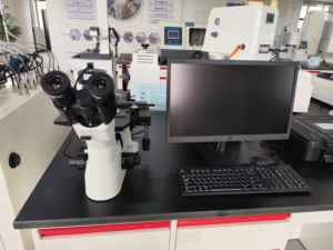 Advanced <strong>Inverted</strong> <strong>Microscope</strong>: Infinite Correction Optics | Fast Sample Observation - Product Image 3