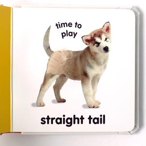 Fournisseur Édition bébé Chiots touch board books Impression hardcover Sensory 3d book - Product Image 3