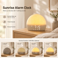 Réveil-lampe à simulation d'aube IBN avec 30 types de bruit blanc, batterie 3000-5000mAh, sortie 5-10W