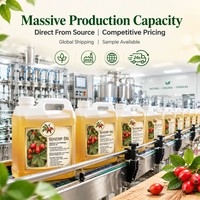Minyak Rosehip Cold Pressed Murni, Minyak Biji Rose Hip Grosir, Minyak Pembawa untuk Perawatan Kulit dan Rambut, Pijat Wajah dan Tubuh