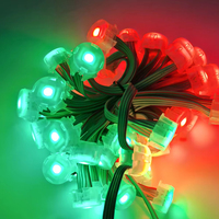 Guirlande lumineuse LED 20 mm IP67, contrôle multifonction, lumières de Noël d'extérieur pour jardin, paysage, corps en PC, corps en PC, indice de protection IP