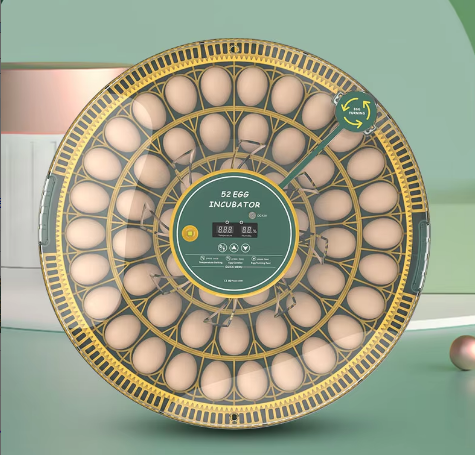 Wonegg New Product Full Automatic CE