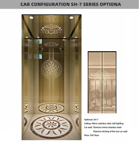 Senshuo Factory Priced Hydraulic Residential Lift für <span class=keywords><strong>Home</strong></span> Hotel Verwenden Sie Mini Electric <span class=keywords><strong>Home</strong></span> <span class=keywords><strong>Elevator</strong></span> Traktion maschine Dining Villa - Product Image 2