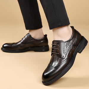 Chaussures pour hommes de haute qualité, élégantes, en maille rétro, respirantes, légères, à semelle plate, pour mariage, affaires, formelles - Product Image 6