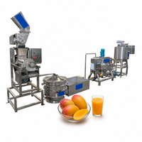Mini-fruit sap productielijn voor startende fabrieken, kleine bedrijven, sapafvul- en verwerkingslijn