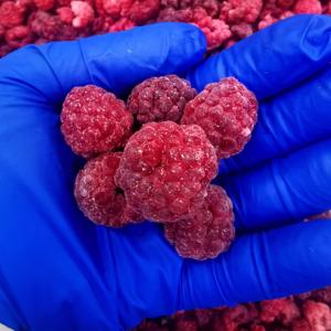 Chất Lượng Cao 2025 Mùa Mới Iqf Đông Lạnh Toàn Bộ Mâm Xôi Bán Buôn Đông Lạnh Trái Cây 90/10 80/20 Với Tùy Chỉnh Đóng Gói - Product Image 3