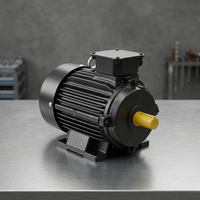 Moteur asynchrone triphasé 2 CV 3000 tr/min 1 kW 460/480V entièrement fermé à montage sur pied