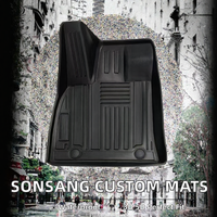 Alfombrillas de TPE para Coche al por Mayor para Elantra, Proveedor de Fábrica ODM OEM, Impermeables para Todo Clima, 3D 5D Personalizadas, 3.5mm X1 X5