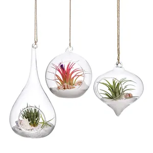 Decorazione della casa per interni esterni 10cm di larghezza piante succulente Tealight candela appesa in vetro a goccia terrario titolare