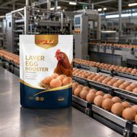 Supplément Alimentaire pour Poules Pondeuses Marque Blanche – Améliore la Prise de Poids et la Production d'Œufs – Prémélange pour Poulets – Vente en Gros