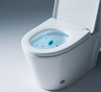 Prêt à expédier 250mm Projection Split-Type Blanc Sanitaire Lavage Cuvettes De Toilette Taille Standard