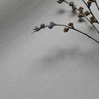 Revestimiento de Pared de Lino Natural Blanco |   Tejido Orgánico Discreto para Espacios Escandinavos, Japoneses y Minimalistas