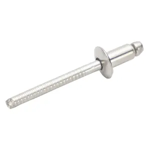 Top Quality Stainless Steel The Rivet For Building Construction