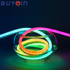 Bande <span class=keywords><strong>LED</strong></span> néon RGB <span class=keywords><strong>12</strong></span> V IP65 5M, tube de taille personnalisée, lampe fantastique DIY, corps en cuivre, entrepôt, CRI élevé 75 - Product Image 4