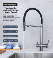 Robinet de cuisine moderne minimaliste en acier inoxydable noir, à poser sur comptoir, avec cartouche céramique et double poignée