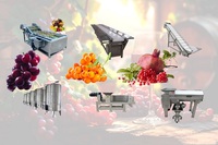 China Fabriek Tekbrew Druivenfruit Verwerkingslijn Stempel Breekpersmachine Voor Verwerking Van Druivenwijn Gisting