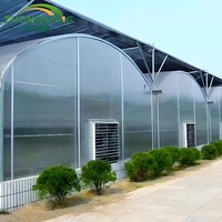 Serre multi-spans en film plastique/polycarbonate avec structure en acier galvanisé pour légumes/tomates/laitues
