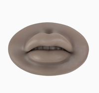 Kulit Latihan Bibir Realistis Silikon Penuh Terbuka, untuk Tato Mikroblading Make Up Permanen Label Pribadi Kustom Terbaru