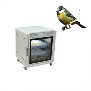 Incubateur d'oiseaux à vendre Kit de couveuse d'oiseaux 90