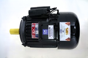 Motor de Inducción Monofásico de Alta Resistencia Bhavi Industries BI-2-CH 2HP 2kW 210-230V 12.5A 1500RPM 95mm IE2 TEFC Montaje en Pedestal - Product Image 4