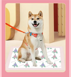 Pañal de perro desechable personalizable suave y cómodo algodón <span class=keywords><strong>Premium</strong></span> pantalones fisiológicos Teddy Anti-acoso cachorro - Product Image 6