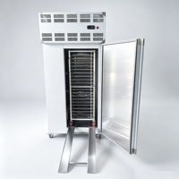 Kleine werkplaats enkeldeurs blastvriezer, tray-type -80 ℃   Luchtgekoelde snelvriezer met aanpasbare spanningstandaard