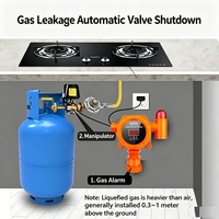 Détecteur de gaz sans fil IP65 433 MHz AC220V avec alarme de liaison de vanne pour la surveillance des fuites de GPL et de méthane dans les cuisines commerciales