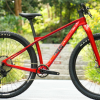 VTT Hardtail M5-LT entièrement en fibre de carbone 29er XC XT M8100 2*12 vitesses Frein à disque hydraulique Boost Axe traversant 10,3 kg