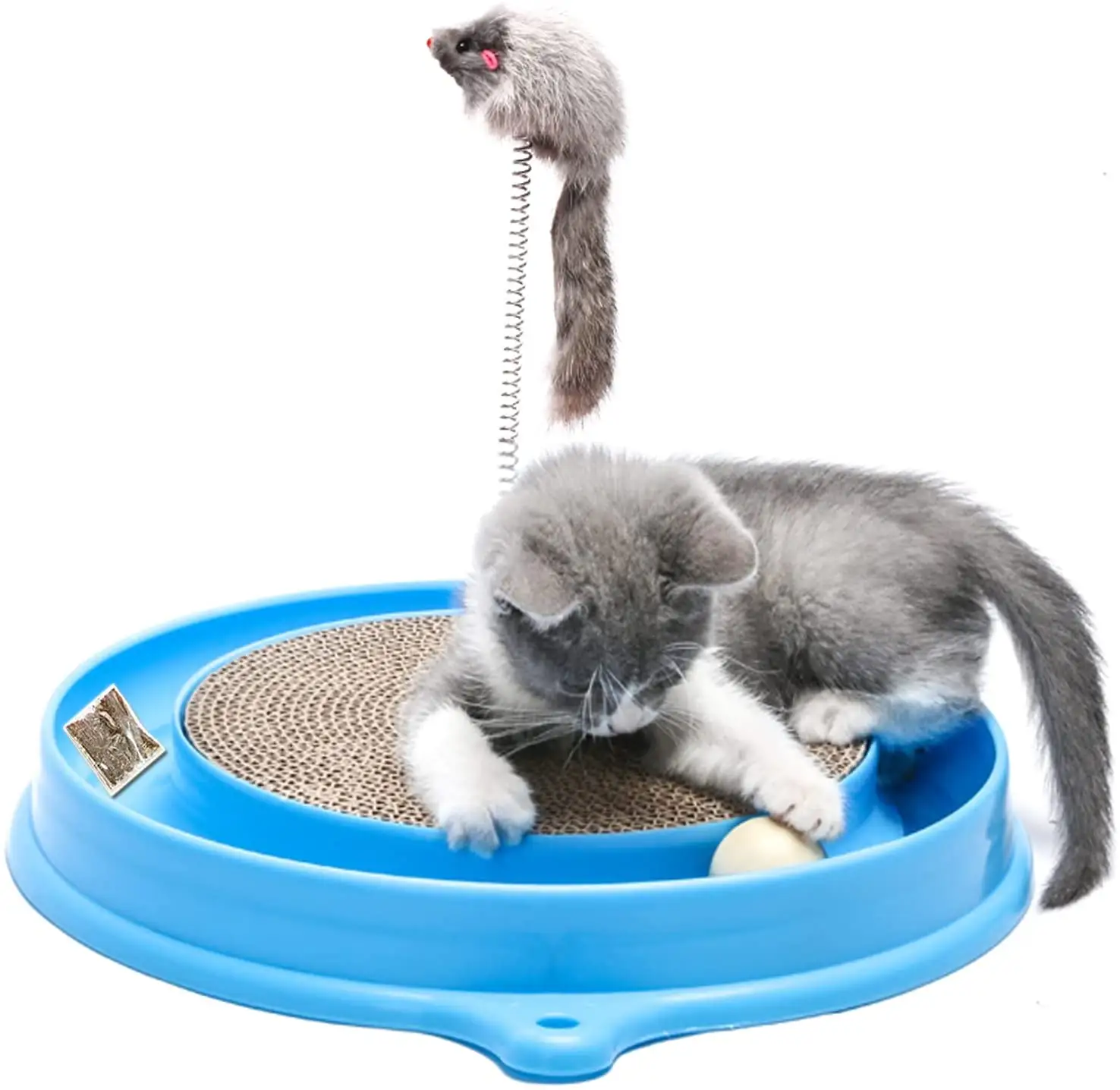חתול גרדן צעצוע רב צורת Grinded Paw צעצוע עם חיות מחמד לוח השריטה חתול מחמד צעצוע גרדן חתול עם טורבו כדור