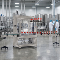 Machine de remplissage automatique de pâte de tomate Solidpack pour le ketchup, la sauce chili et la confiture