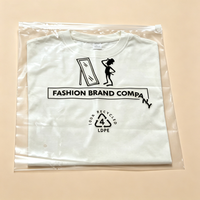 Vente directe d'usine, sacs en polyéthylène avec impression de logo, sac à fermeture éclair pour vêtements, sac à fermeture éclair en PE, stock disponible, réutilisable, recyclable, fermeture éclair en plastique