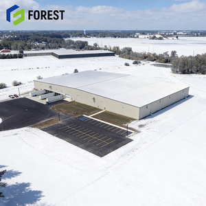 Bâtiment en acier sur mesure à assemblage facile du Vietnam avec poutre en I, structure d'atelier et entrepôt à cadre résistant à la corrosion (norme USA) - Product Image 1