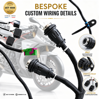 Assemblaggio Personalizzato di Cablaggi per OEM e Motociclette con Isolamento in Nylon - Servizio OEM/ODM