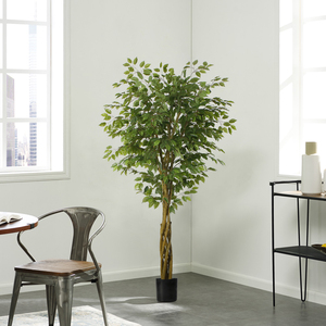 200เซนติเมตรที่งดงาม <span class=keywords><strong>Ficus</strong></span> ต้นไม้พลาสติกนายอำเภอทางเลือกสำหรับตกแต่งบ้าน - Product Image 1