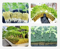 Culture agricole sans sol Plantation hydroponique de légumes Semis carrés Laine de roche