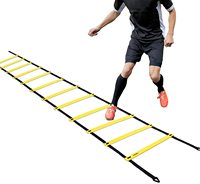 子供のための9つのラング敏捷性ラダーキャリングバッグ付きスピード敏捷性トレーニングラダーアジャスタブル縄跳びエクササイズ