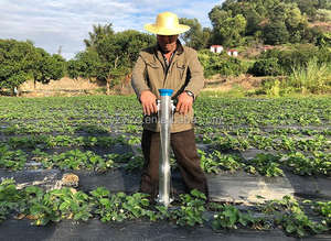 <span class=keywords><strong>ต้น</strong></span>ไม้ขนาดเล็กใช้ในบ้าน,เครื่องปลูกผักหัวหอมพริกไทยมะเขือเทศ<span class=keywords><strong>ต้น</strong></span>อ่อนบรอกโคลี - Product Image 4