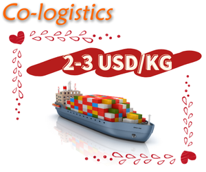 Spedizioniere Internazionale Affidabile ed Economico, Servizio di Logistica Rapida DDP Porta a Porta, Agente di Spedizione dalla Cina - Product Image 4