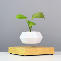 Venta caliente levitación magnética Base de madera maceta levitante bonsái flotante maceta hogar Oficina decoración planta en maceta