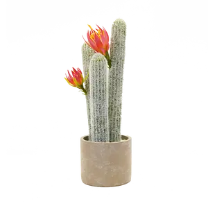 Ln Levendige Groenblijvende Cactus Indoor Faux Planten Sappig Voor Home Office Decoratie Cactus Bonsai Met Oranje Bloemen