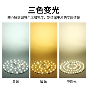แผงไฟ LED 220V แบบไม่ใช้ไดรเวอร์ ทรงกลม 12W สำหรับเปลี่ยนหลอดไฟโคมระย้า สไตล์นอร์ดิก - Product Image 5
