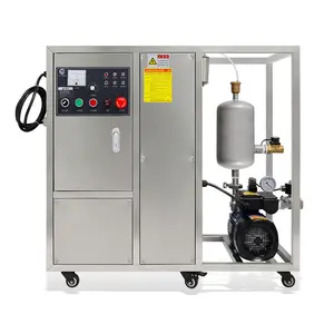 Flygoo gerador industrial do ozônio da máquina do purificador de água 30 G/H com controlador ORP