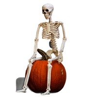 Grande Simulation de Crâne de Squelette pour Halloween, Accessoires de Décoration Effrayants pour Maison Hantée